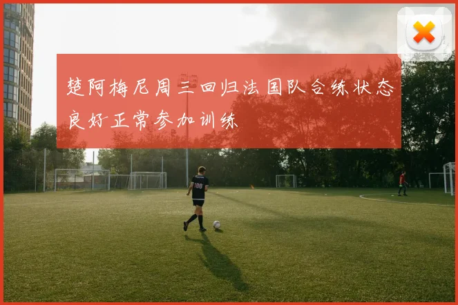 楚阿梅尼周三回归法国队合练状态良好正常参加训练